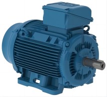 Increased Safety Ex eb (Weg)