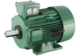 Nidec Leroy-Somer motor