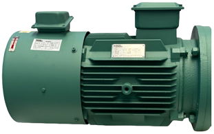 Nidec Leroy-Somer motor